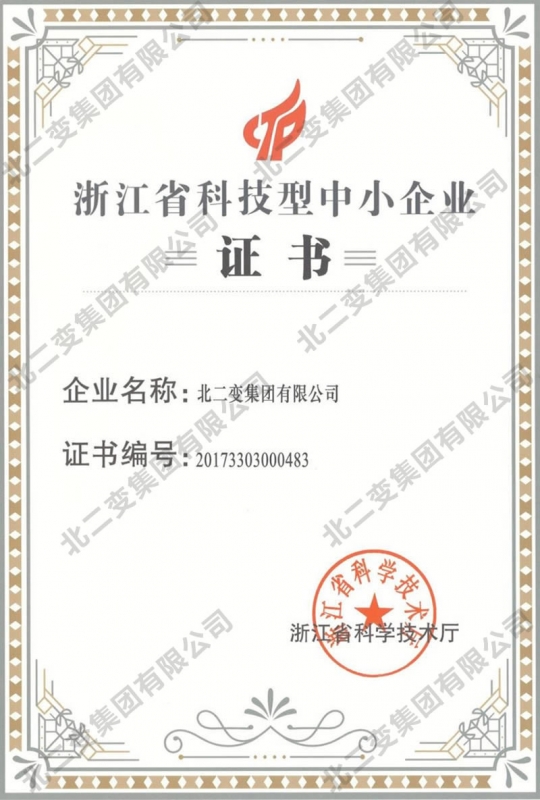 Certificate of science and technology SMES in Zhejiang